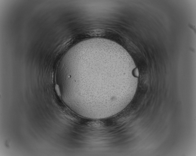 X0000098110652200804251429