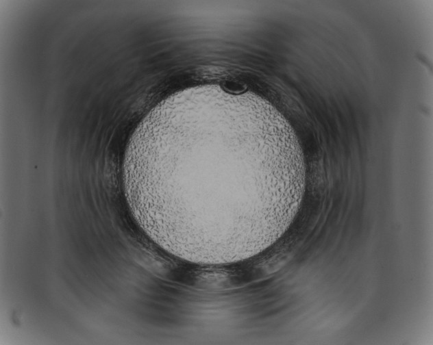 X0000098110653200804251429