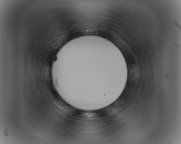 X0000098110654200804251429