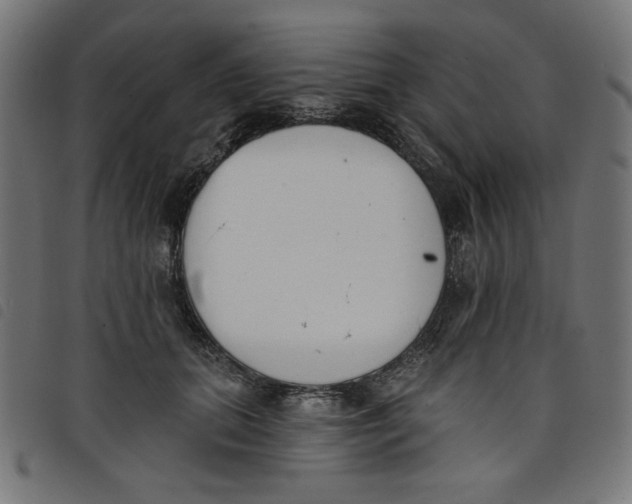 X0000098110655200804251429