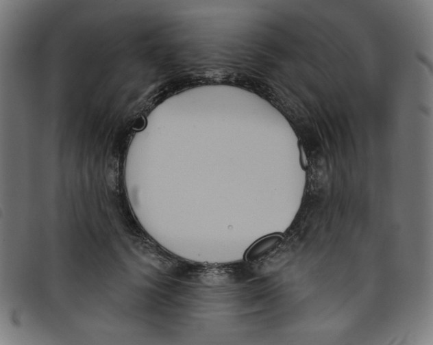 X0000098110656200804251429