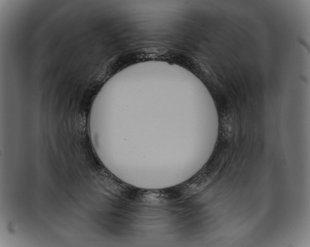 X0000098110657200804251429