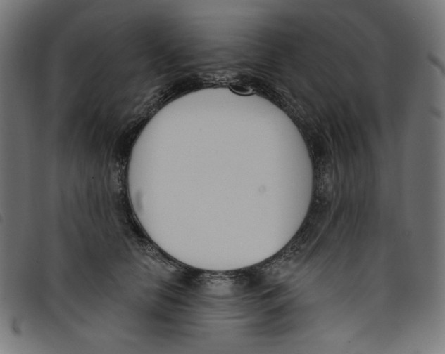 X0000098110658200804251429