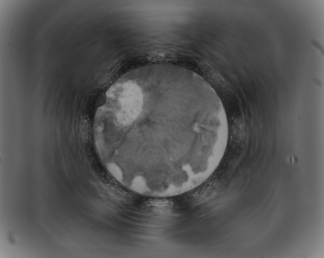 X0000098110659200804251429