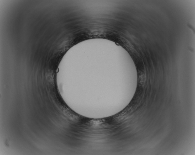 X0000098110662200804251429