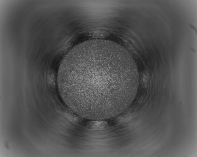 X0000098110663200804251429