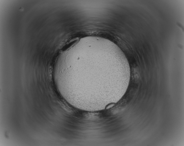 X0000098110664200804251429