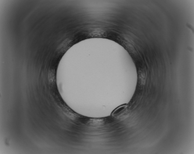 X0000098110665200804251429