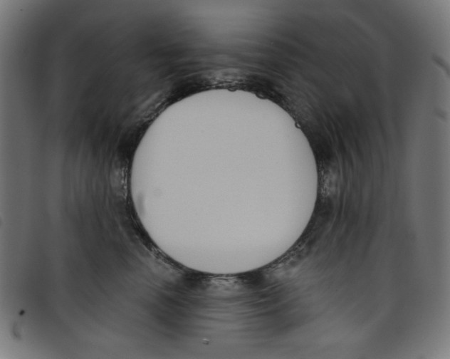 X0000098110666200804251429