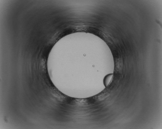 X0000098110667200804251429