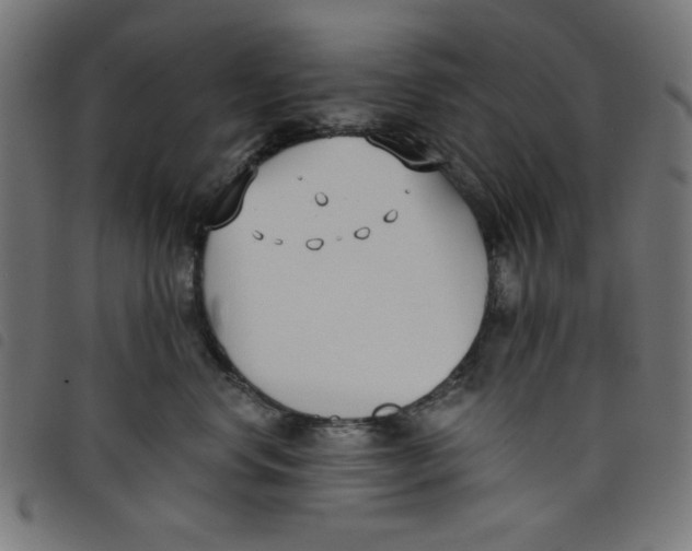 X0000098110668200804251429