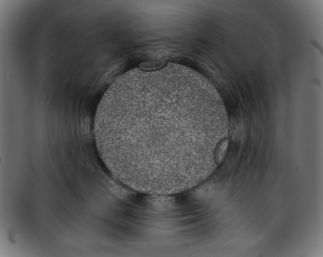 X0000098110670200804251429