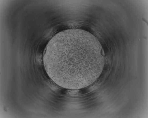 X0000098110671200804251429