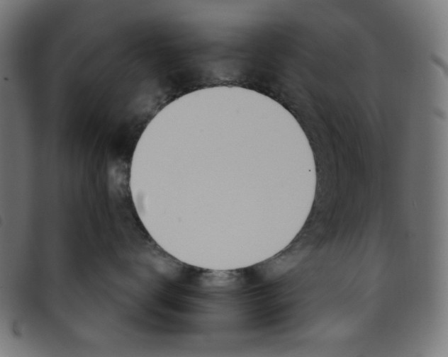 X0000098110672200804251429