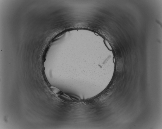 X0000098110673200804251428