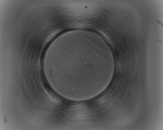 X0000098110674200804251428