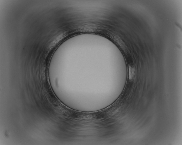 X0000098110675200804251428