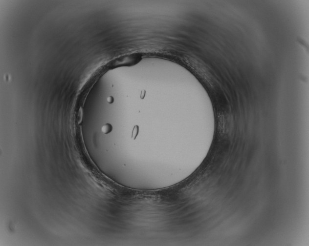 X0000098110676200804251428