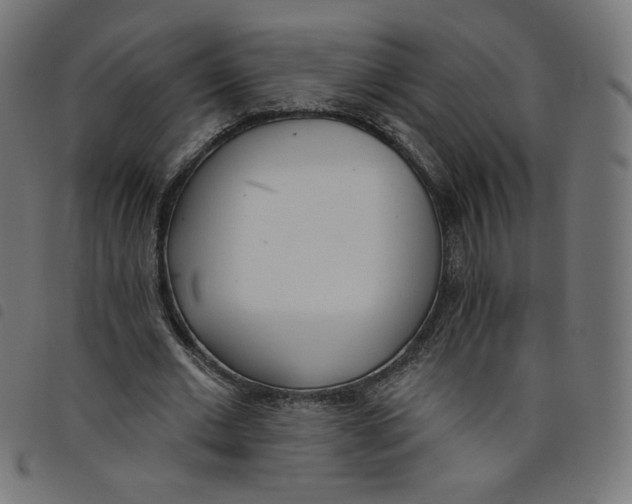 X0000098110677200804251428