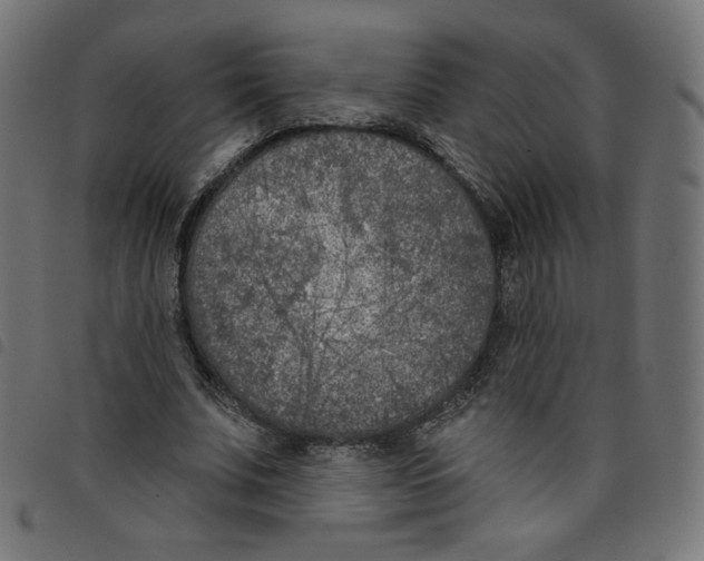 X0000098110679200804251428