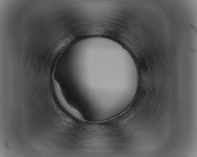 X0000098110681200804251428