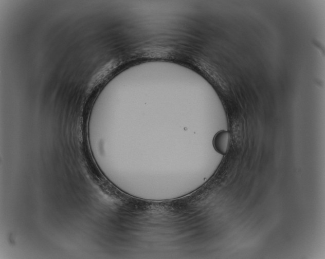 X0000098110682200804251428