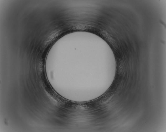 X0000098110683200804251428