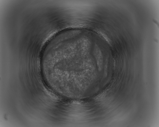 X0000098110684200804251428