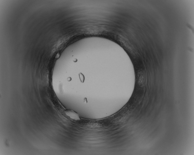 X0000098110685200804251428