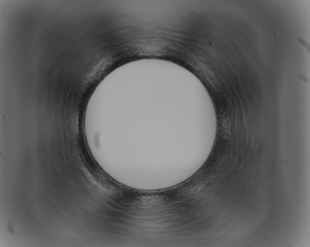 X0000098110686200804251428