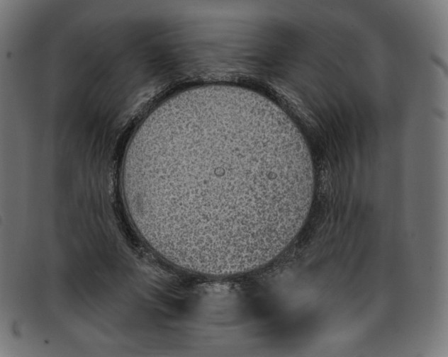 X0000098110687200804251428