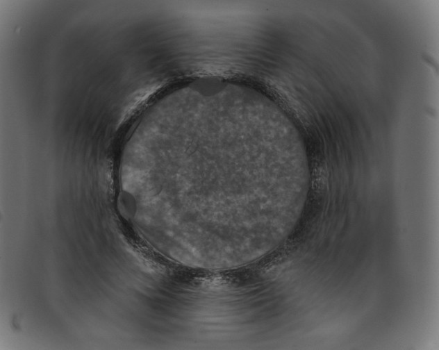 X0000098110688200804251428