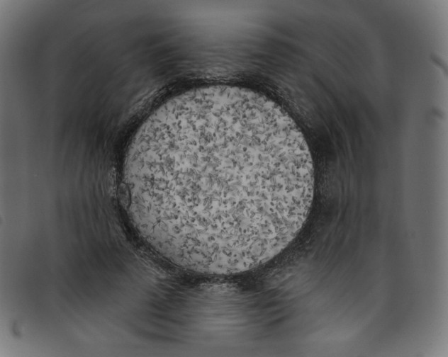 X0000098110689200804251428