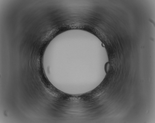 X0000098110690200804251428