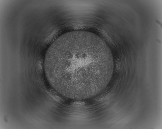 X0000098110691200804251428