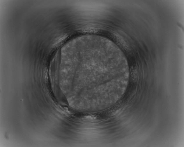 X0000098110692200804251428