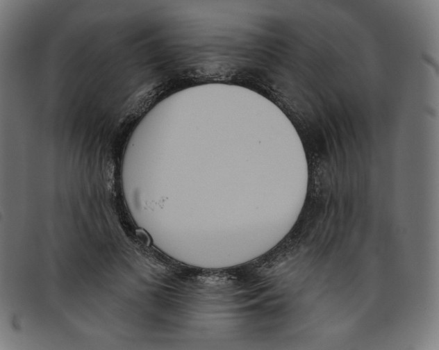 X0000098110693200804251428