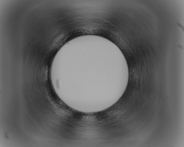 X0000098110694200804251428