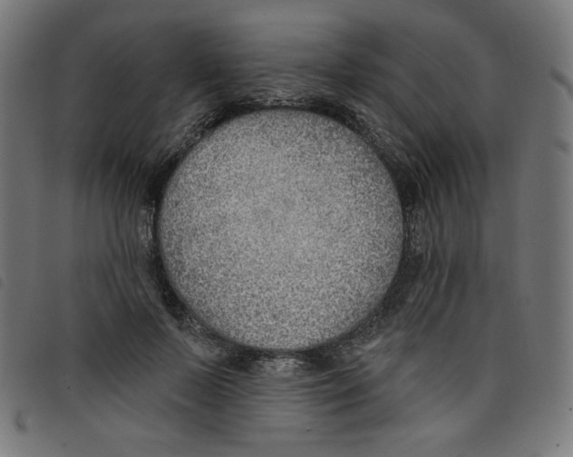 X0000098110695200804251428