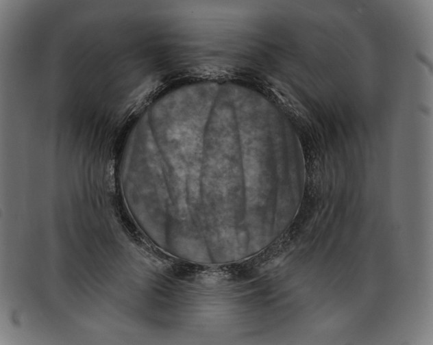 X0000098110696200804251428