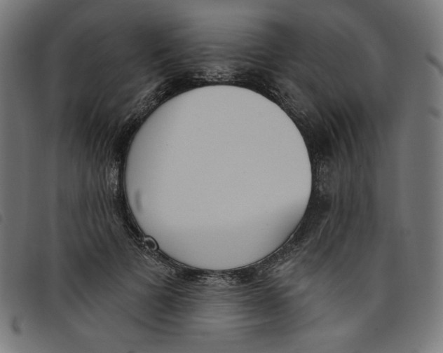 X0000098110697200804251428