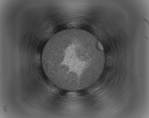 X0000098110699200804251428