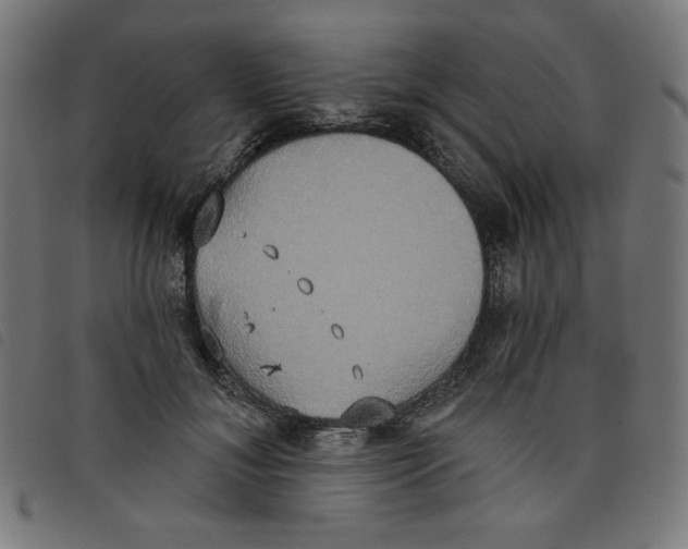 X0000098110700200804251428