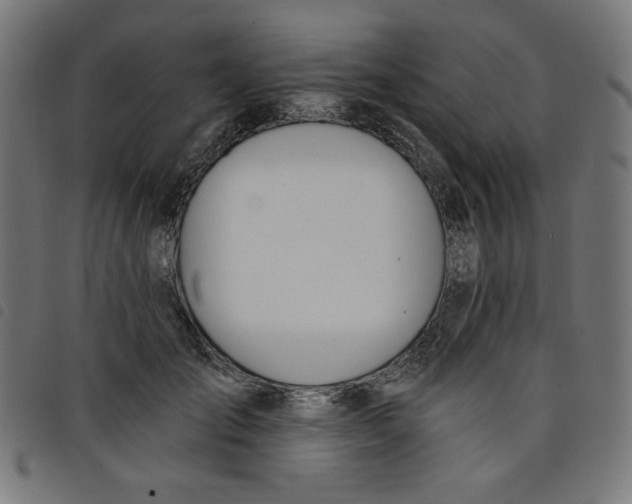 X0000098110701200804251428