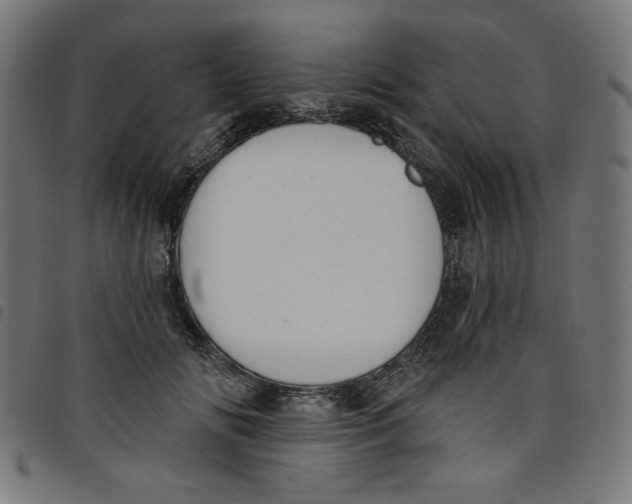 X0000098110702200804251428