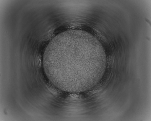 X0000098110703200804251428