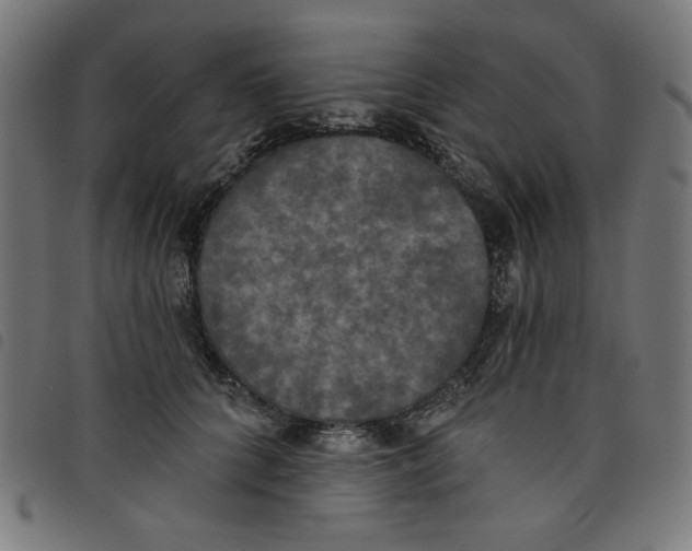 X0000098110704200804251428