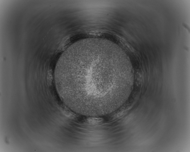 X0000098110707200804251428