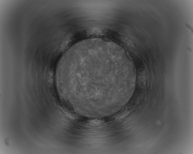 X0000098110708200804251428