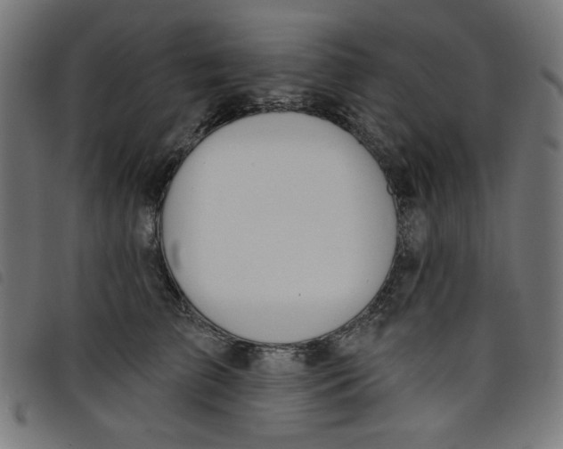 X0000098110709200804251428